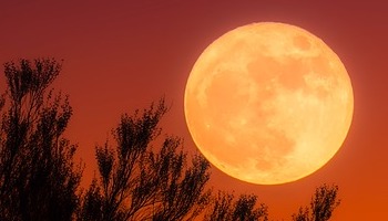 Energie update Rode Maan levenspad 28 maart - 9 april 2022: Energie om jezelf te zuiveren